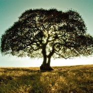 Conviene isolare casa con insufflaggio