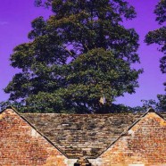 Isolamento termico per tetto con fibra di cellulosa