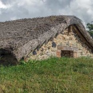 Lana di vetro o cellulosa per l’isolamento?