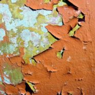 La muffa sui muri: un problema importante