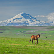 Educazione ambientale nelle scuole